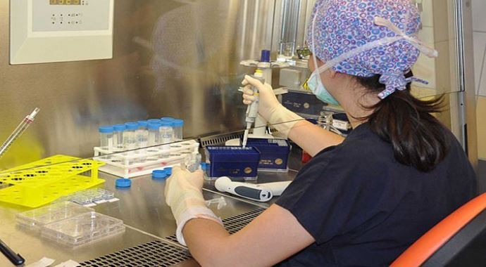 Kanser bir yılda 8 milyon kişinin ölümüne sebep oldu Kanser bir yılda 8 milyon kişinin ölümüne sebep oldu