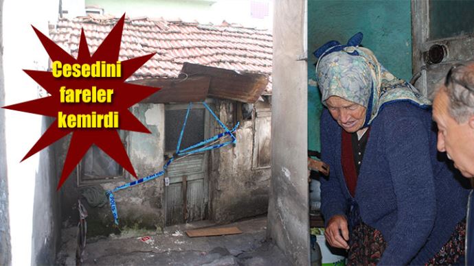 Milyarder nineyi fareler yedi Milyarder nineyi fareler yedi