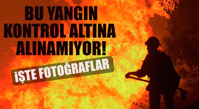 Kaliforniya'daki yangınlar 10 hektarlık alanı kül etti Kaliforniya'daki yangınlar 10 hektarlık alanı kül etti