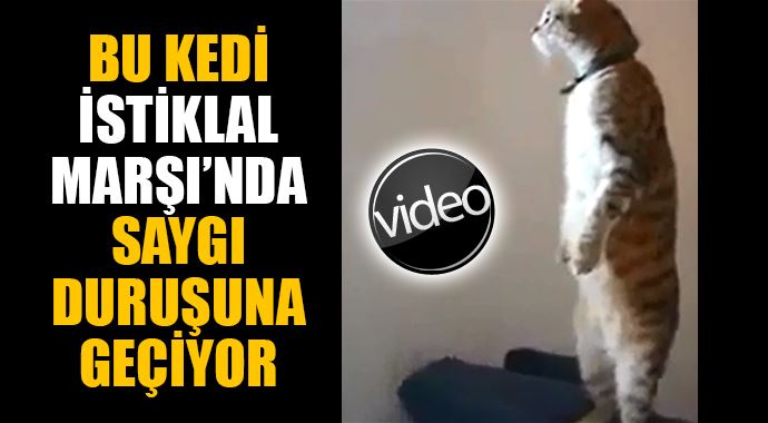 İstiklal Marşı&#039;nı duyduğu anda saygı duruşuna geçti