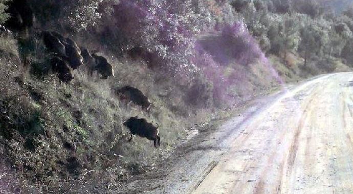 Bu yoldaki büyük tehlike Bu yoldaki büyük tehlike