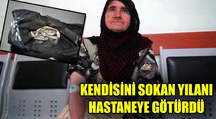 Kendisini sokan yılanla hastaneye gitti Kendisini sokan yılanla hastaneye gitti