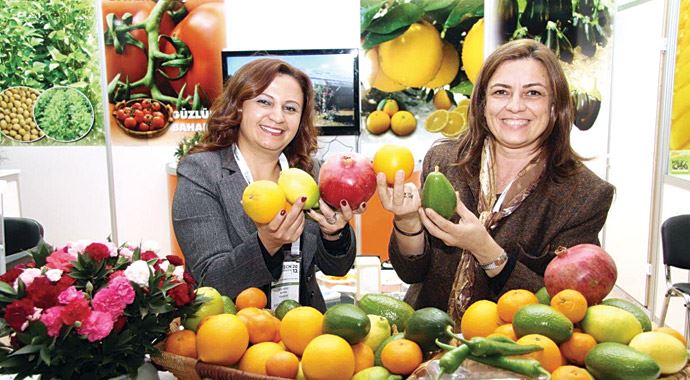 Mango ile kivi Türk oldu dünyaya satılacak Mango ile kivi Türk oldu dünyaya satılacak