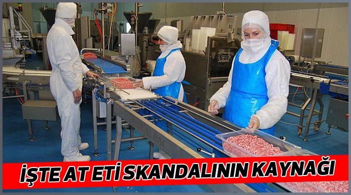 İşte Avrupa'daki at eti skandalının kaynağı İşte Avrupa'daki at eti skandalının kaynağı