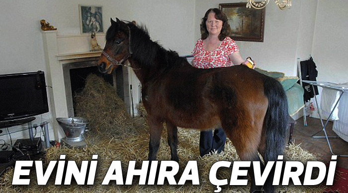 Atları kesilmekten kurtarıp evinde besliyor