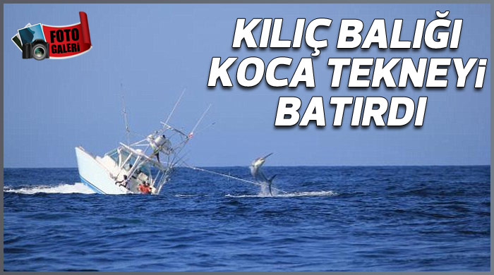 Kılıç balığı koca tekneyi batırdı
