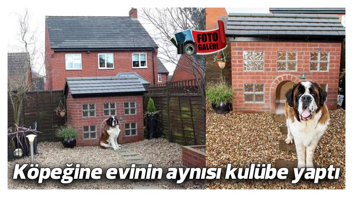 Köpeğine evinin aynısı kulübe yaptı