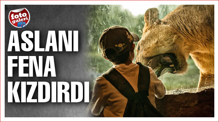 Ya arada cam olmasaydı! Ya arada cam olmasaydı!