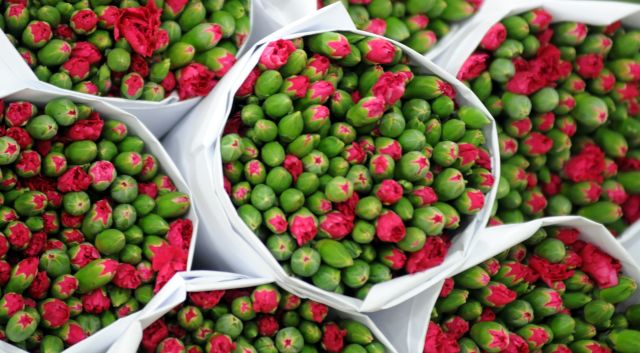 Türkiye'nin çiçekleri 36 ülkeyi süslüyor  Türkiye'nin çiçekleri 36 ülkeyi süslüyor