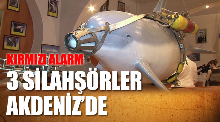 Silahlı yunuslar çetesi Akdeniz'de mi? Silahlı yunuslar çetesi Akdeniz'de mi?