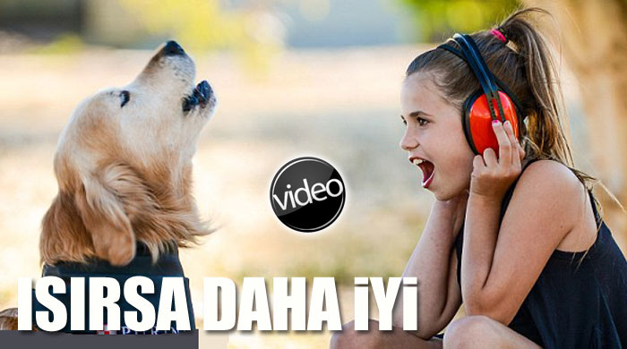 Havlaması ısırmasından daha kötü
