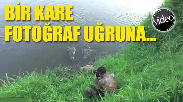 Fotoğraf uğruna timsaha yem olacaktı