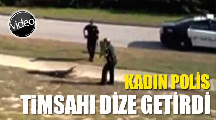 Kadın polis timsahı böyle dize getirdi