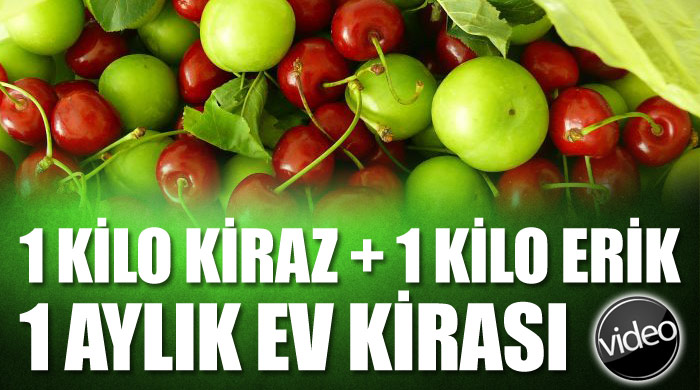 Bir kilo kiraz + bir kilo erik = 1 aylık ev kirası