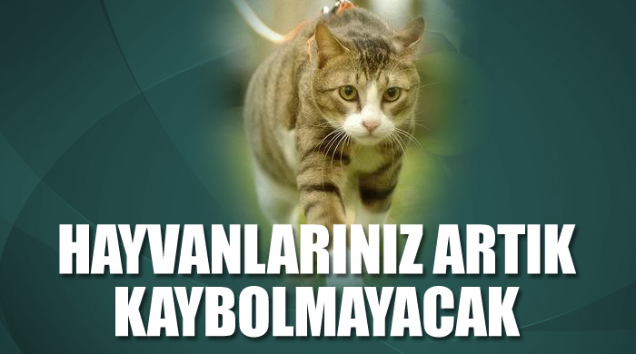Hayvanlarınız artık kaybolmayacak