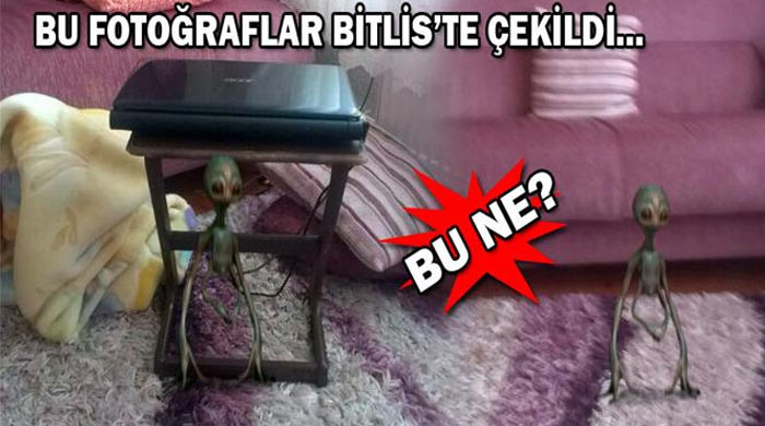 Bitlis'te tanımlanamayan yaratık paniği