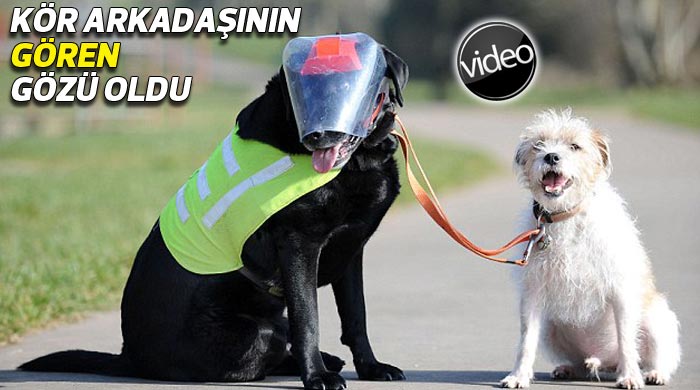 Arkadaşının gören gözü oldu