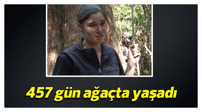 457 gün ağaçta yaşayarak rekor kırdı