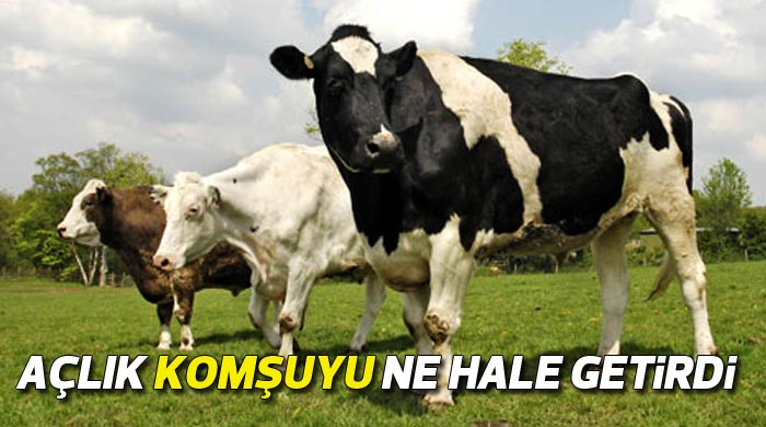 Ekonomik kriz komşuyu fena vurdu