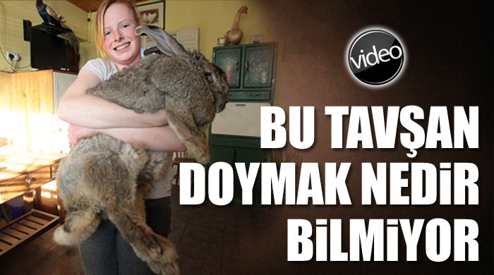Bu tavşan tam 25 kilo 