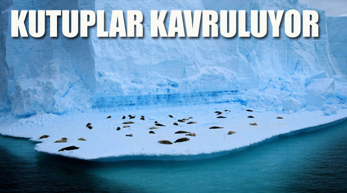 Kutuplar&#039;da 1400 yılın en sıcak yazı