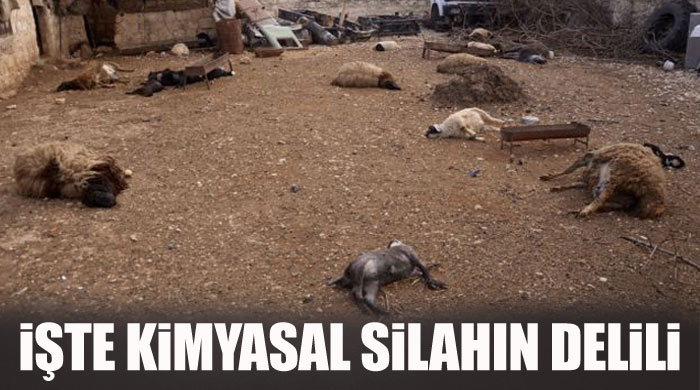 Kimyasal silah kullanıldığının bir delili daha Kimyasal silah kullanıldığının bir delili daha