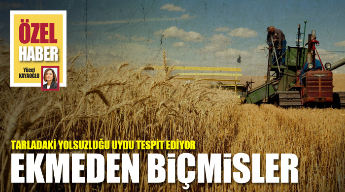 Ekmeden biçmişler Ekmeden biçmişler