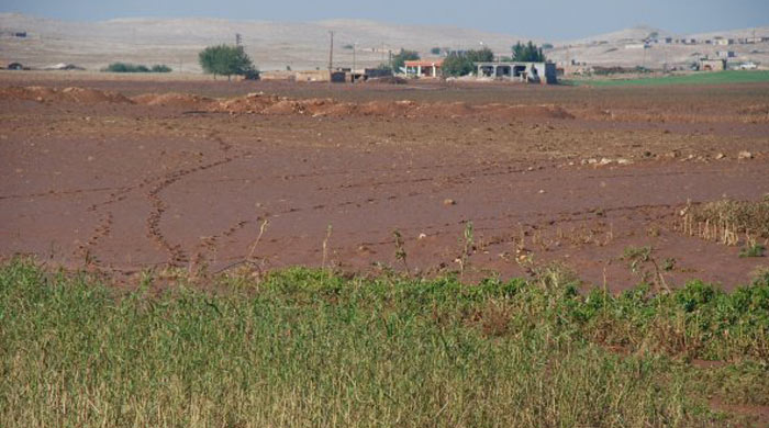 Kahramanmaraş'ta tarım arazilerini sel vurdu Kahramanmaraş'ta tarım arazilerini sel vurdu