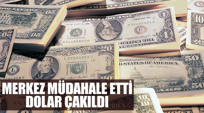 Merkez müdahale etti, Dolar çakıldı