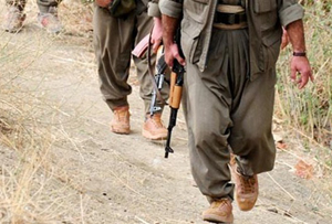 PKK, araç yakıp müteahhit ve kepçe operatörünü kaçırdı PKK, araç yakıp müteahhit ve kepçe operatörünü kaçırdı