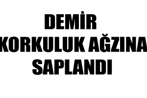 Demir korkuluk ağzına saplandı Demir korkuluk ağzına saplandı