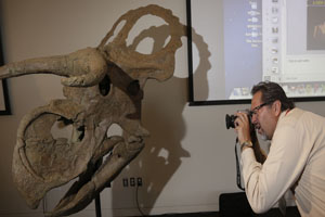 &#039;Büyük burunlu&#039; yeni bir dinozor türü bulundu