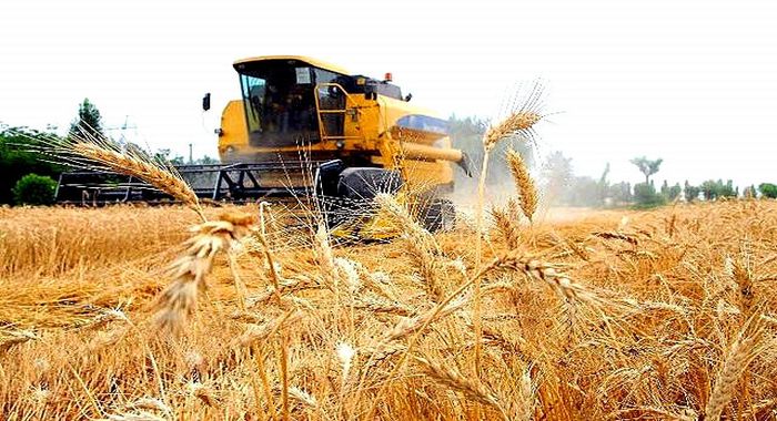 Özbekistan ekonomisi yüzde 8 oranda büyüdü Özbekistan ekonomisi yüzde 8 oranda büyüdü