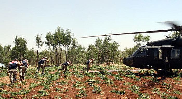 Lice'de uyuşturucu operasyonu Lice'de uyuşturucu operasyonu