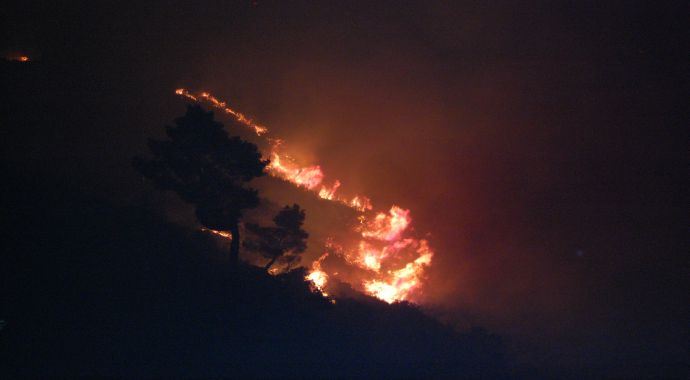Antalya'da orman yangını Antalya'da orman yangını