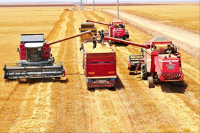 En büyük çiftlik Ceylanpınar&#039;da