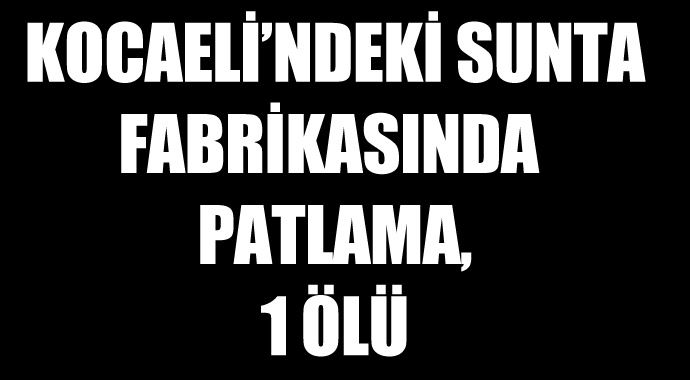 Kocaeli'ndeki sunta fabrikasında patlama, 1 ölü Kocaeli'ndeki sunta fabrikasında patlama, 1 ölü