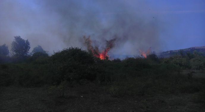 Zonguldak'da orman yangını