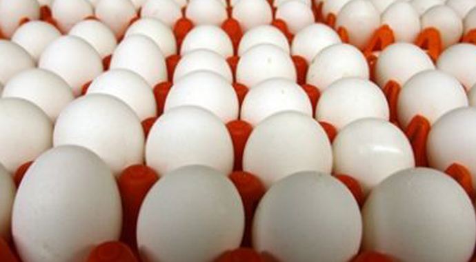 Yumurta ihracatı 173 milyon dolar döviz getirdi