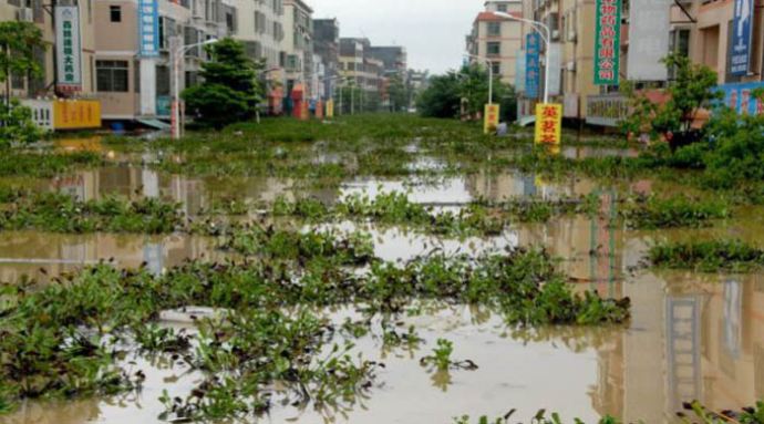 Çin'de sel can aldı, 105 ölü Çin'de sel can aldı, 105 ölü