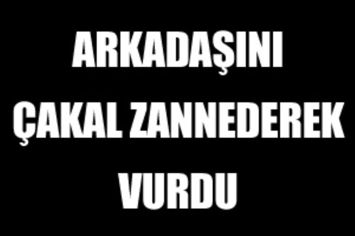 Arkadaşını çakal zannederek vurdu