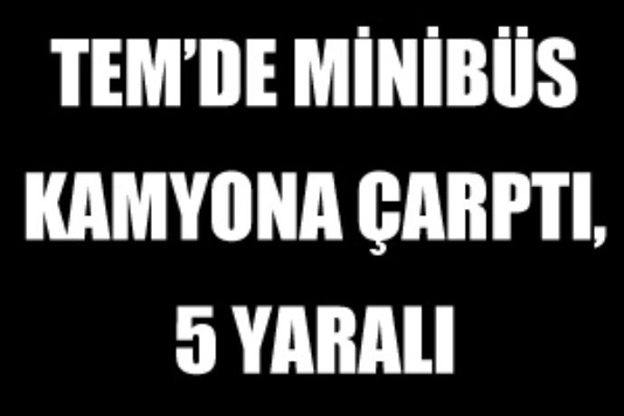 TEM&#039;de minibüs kamyona çarptı, 5 yaralı