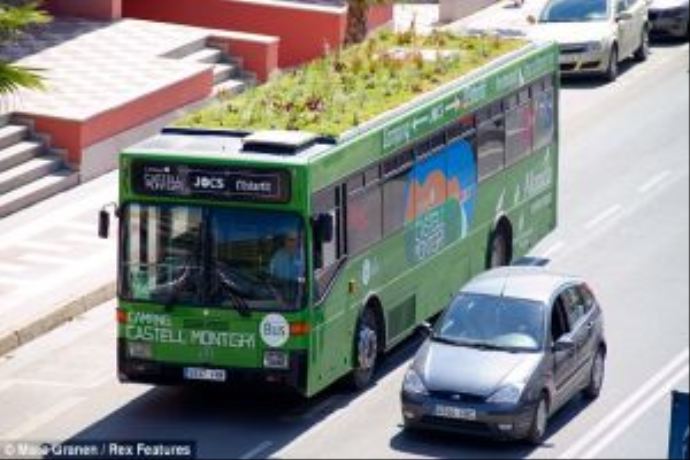 Otobüs çatılarını bahçeye çevirdiler