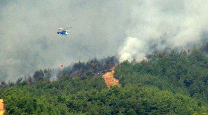 Hatay Valisi yangının bilançosunu açıkladı Hatay Valisi yangının bilançosunu açıkladı