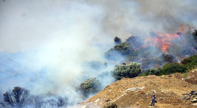 Bodrum'da çıkan orman yangınında sabotaj şüphesi Bodrum'da çıkan orman yangınında sabotaj şüphesi