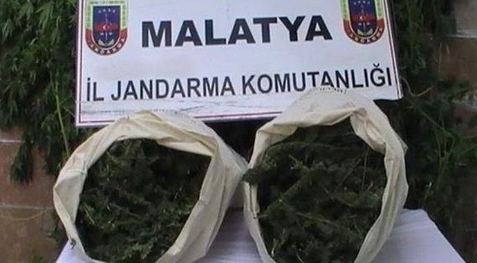 Malatya'da esrar operasyonu Malatya'da esrar operasyonu