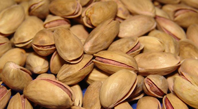 Antep Fıstığı Ortak Akıl Toplantısı tamamlandı Antep Fıstığı Ortak Akıl Toplantısı tamamlandı