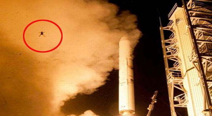 NASA'dan uzaya kurbağa NASA'dan uzaya kurbağa