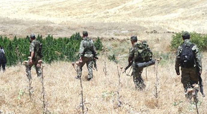 Diyarbakır'da 25 güvenlik timi ile Narko-Terör operasyonu Diyarbakır'da 25 güvenlik timi ile Narko-Terör operasyonu