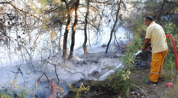 Kocaeli'de 60 dönüm kül oldu Kocaeli'de 60 dönüm kül oldu